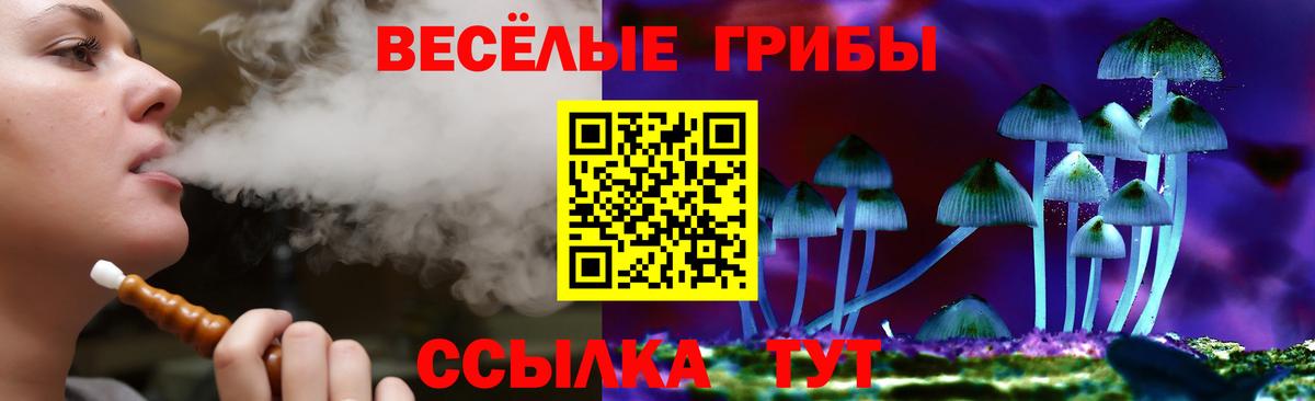 Бахчисарай  Псилоцибиновые грибы мицелий  Вход с VPN 
